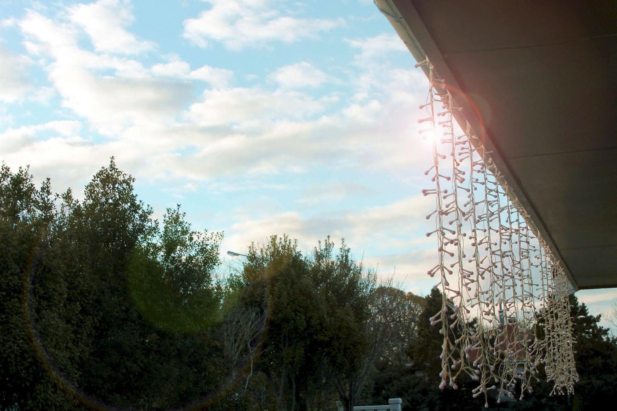 Ferry Motel Christchurch Dış mekan fotoğraf